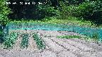 kannonmori-20250528120016.jpg