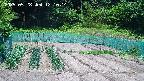 kannonmori-20250528121016.jpg
