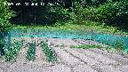kannonmori-20250528122017.jpg