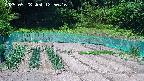 kannonmori-20250528125018.jpg