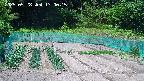 kannonmori-20250528130017.jpg