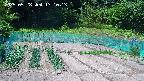 kannonmori-20250528131015.jpg