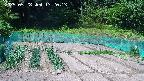 kannonmori-20250528132015.jpg