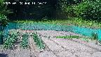 kannonmori-20250528141015.jpg