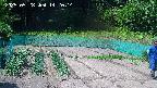 kannonmori-20250528142016.jpg