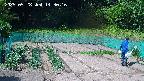 kannonmori-20250528143018.jpg