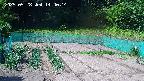 kannonmori-20250528144016.jpg