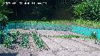 kannonmori-20250528145014.jpg