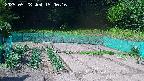kannonmori-20250528150017.jpg