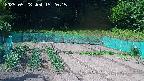 kannonmori-20250528152016.jpg