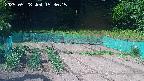 kannonmori-20250528153017.jpg