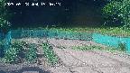 kannonmori-20250528154015.jpg