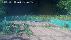 kannonmori-20250528155017.jpg