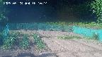 kannonmori-20250528161016.jpg