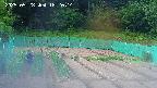 kannonmori-20250528182015.jpg
