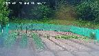 kannonmori-20250528185015.jpg