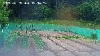 kannonmori-20250528190017.jpg