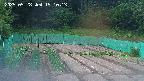 kannonmori-20250528191015.jpg