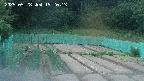 kannonmori-20250528192015.jpg