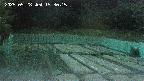 kannonmori-20250528193017.jpg