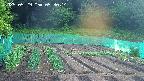 kannonmori-20250529053015.jpg
