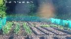 kannonmori-20250529063017.jpg