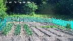 kannonmori-20250529084017.jpg