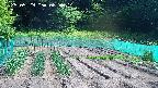 kannonmori-20250529085015.jpg