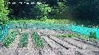 kannonmori-20250529090015.jpg
