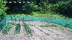 kannonmori-20250529110017.jpg