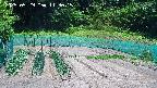 kannonmori-20250529113016.jpg