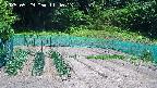 kannonmori-20250529114014.jpg