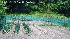 kannonmori-20250529120017.jpg