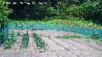 kannonmori-20250529122016.jpg