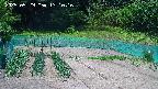 kannonmori-20250529131017.jpg