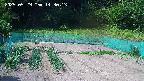 kannonmori-20250529143015.jpg