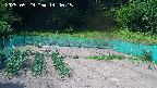 kannonmori-20250529144016.jpg