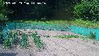 kannonmori-20250529145017.jpg