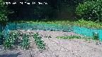 kannonmori-20250529150017.jpg