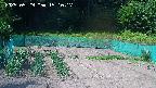 kannonmori-20250529151018.jpg