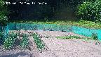 kannonmori-20250529152018.jpg