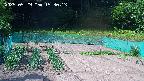 kannonmori-20250529153015.jpg
