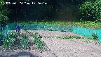 kannonmori-20250529154017.jpg