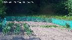 kannonmori-20250529161017.jpg