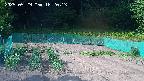 kannonmori-20250529162014.jpg