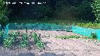 kannonmori-20250529163016.jpg