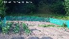 kannonmori-20250529164017.jpg