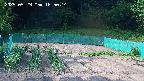 kannonmori-20250529165015.jpg