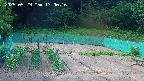 kannonmori-20250529170018.jpg