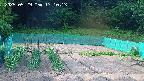 kannonmori-20250529171014.jpg